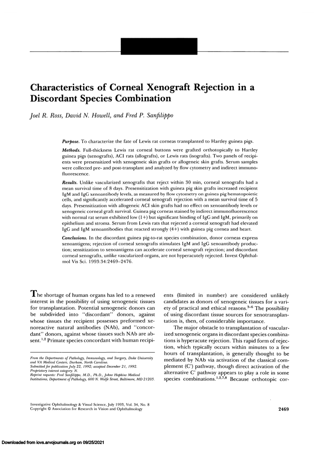 Characteristics of Corneal Xenograft Rejection in a Discordant Species Combination