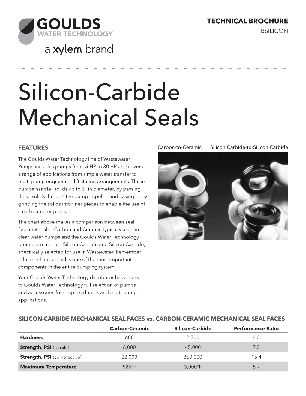 Silicon-Carbide Mechanical Seals