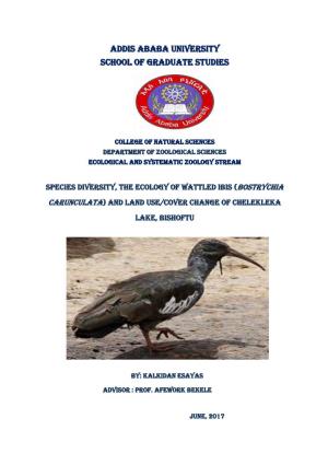 Ecology of Wattled Ibis (Bostrychia Carunculata) in Relation to Land Use