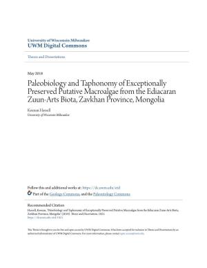 Paleobiology and Taphonomy of Exceptionally Preserved Putative