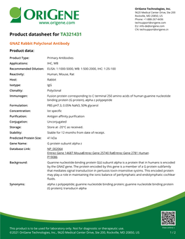 GNAZ Rabbit Polyclonal Antibody – TA321431 | Origene
