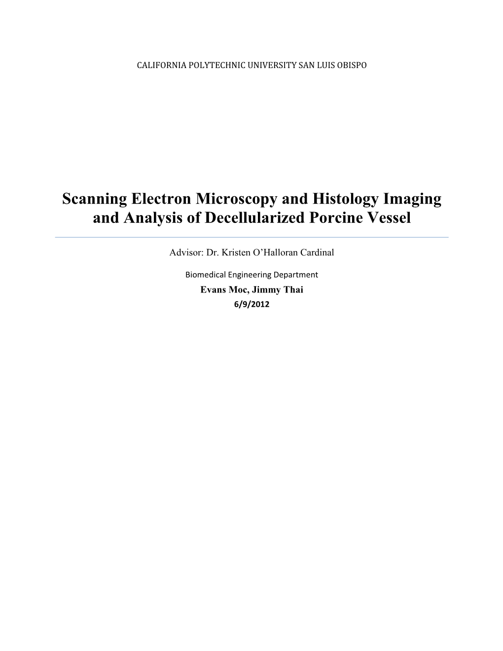 Scanning Electron Microscopy and Histology Imaging and Analysis of Decellularized Porcine Vessel