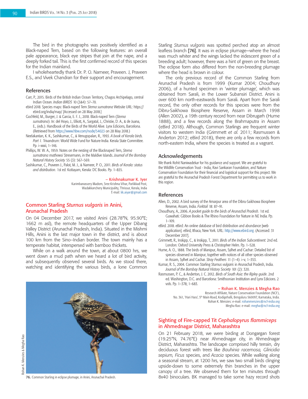 References Common Starling Sturnus Vulgaris in Anini, Arunachal