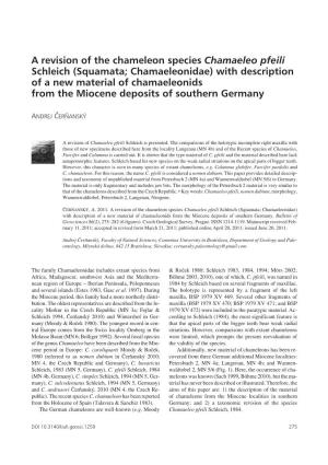 A Revision of the Chameleon Species Chamaeleo Pfeili Schleich
