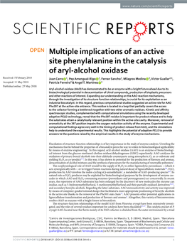 Multiple Implications of an Active Site Phenylalanine in the Catalysis Of