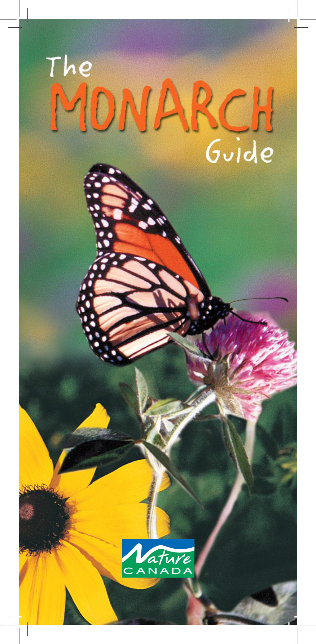 Monarch Butterfly Guide