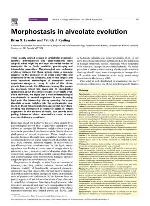 Morphostasis in Alveolate Evolution