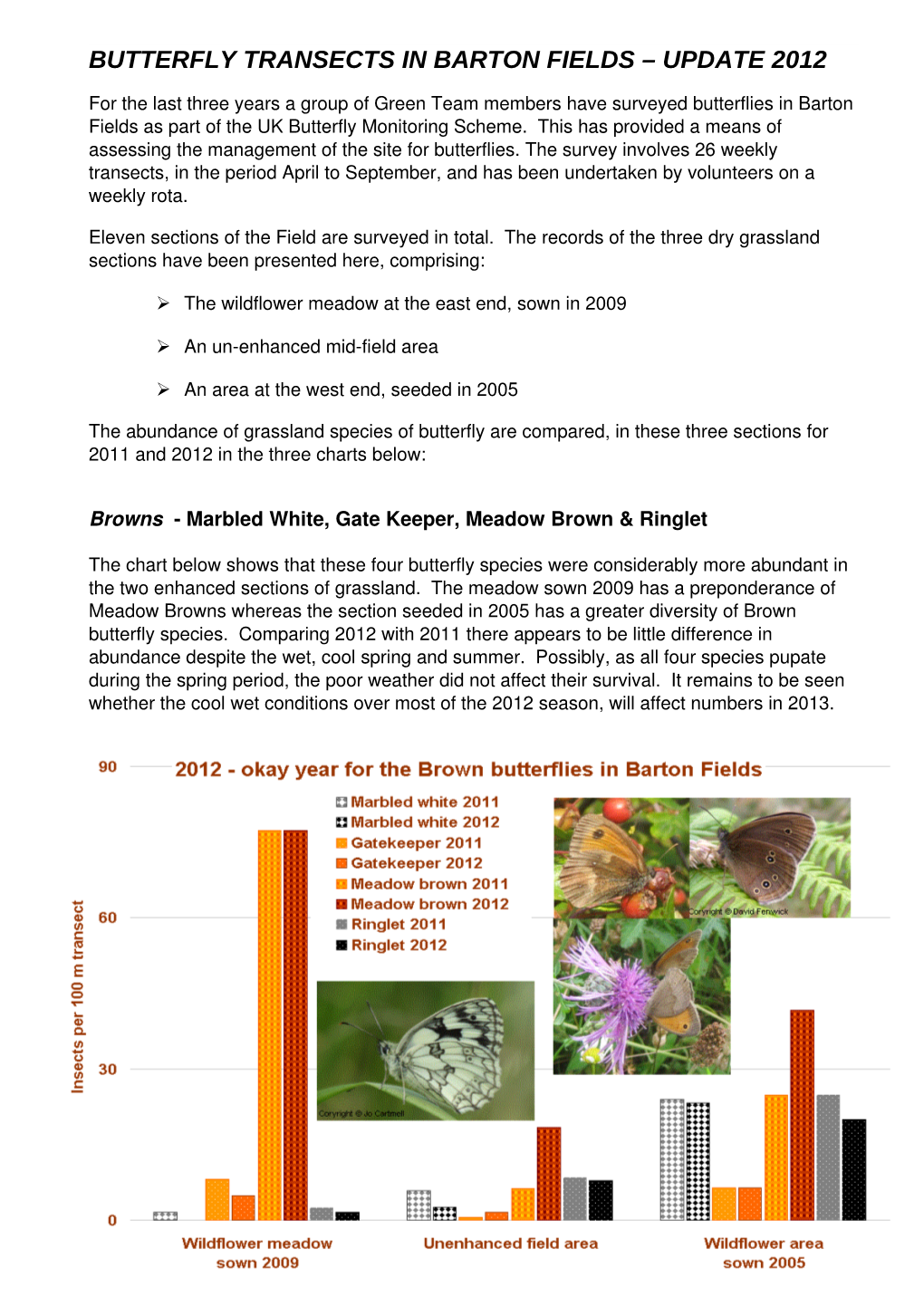 Barton Fields Wildflower Meadow – Update