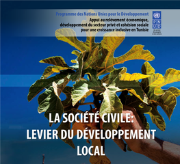 La Société Civile: Levier Du Développement Local Médenine Et Tataouine