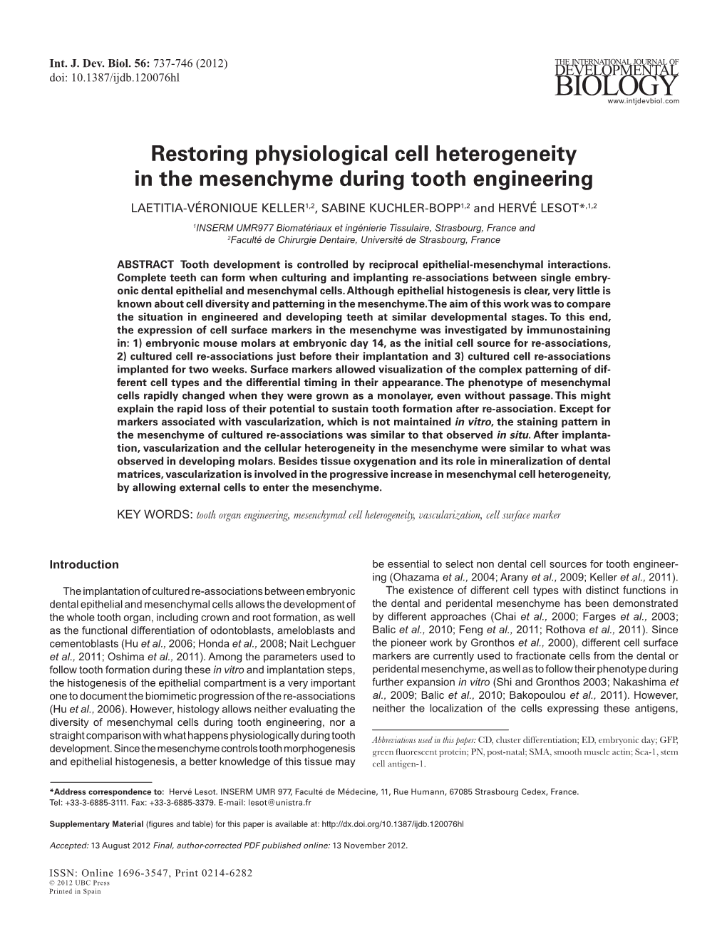 Restoring Physiological Cell Heterogeneity in the Mesenchyme