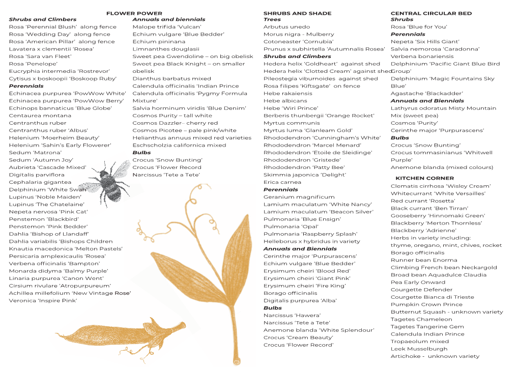 Bumblebee Garden Leaflet Download