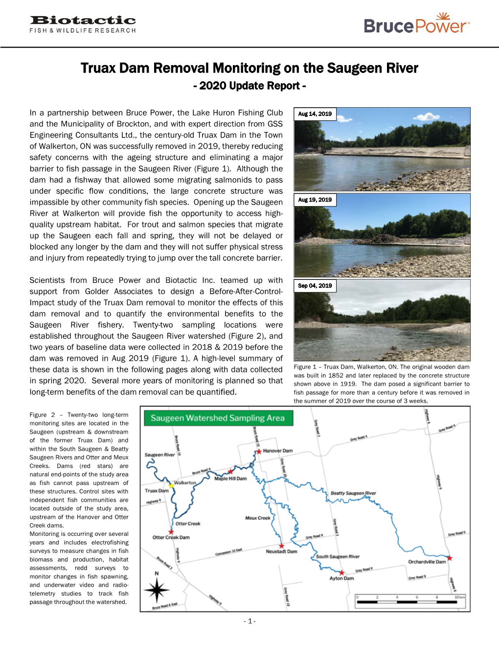 Saugeen River Truax Dam Removal 2020 Monitoring Summary