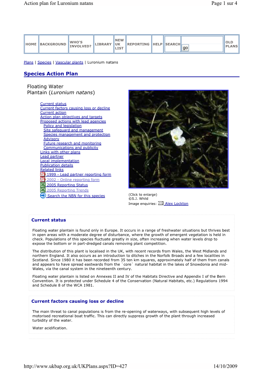 Page 1 Sur 4 Action Plan for Luronium Natans 14/10/2009