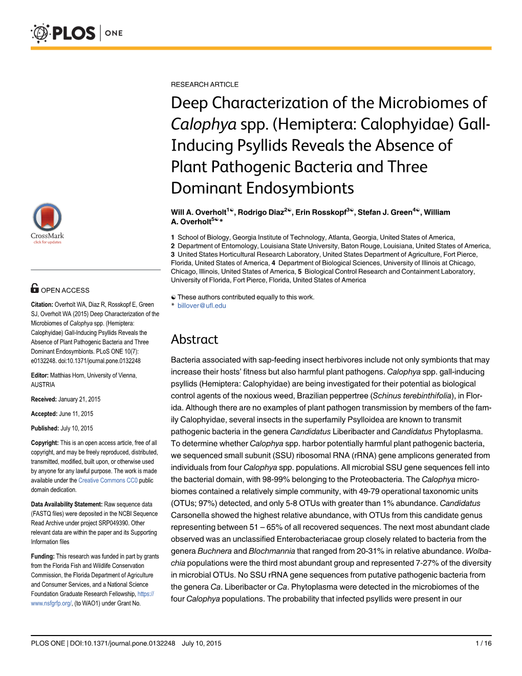 Deep Characterization of the Microbiomes of Calophya Spp