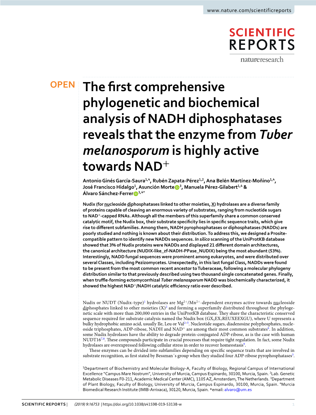 The First Comprehensive Phylogenetic and Biochemical Analysis of NADH Diphosphatases Reveals That the Enzyme from Tuber Melanosporum Is Highly Active Towards NAD+