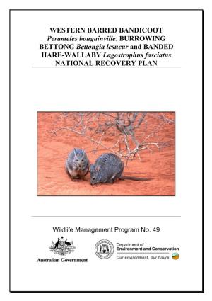 Burrowing Bettong (Bettongia Lesueur) and Banded Hare-Wallaby (Lagostrophus Fasciatus)