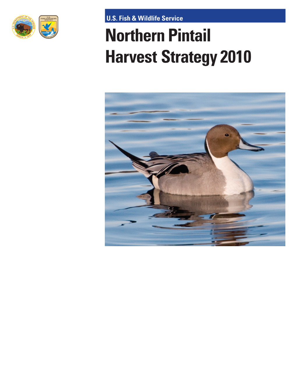 Northern Pintail Harvest Strategy 2010 Northern Pintail Harvest Strategy 2010