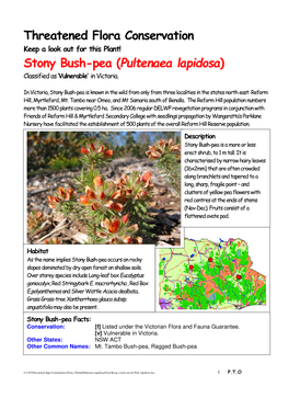Threatened Flora Conservation Stony Bush-Pea (Pultenaea Lapidosa)