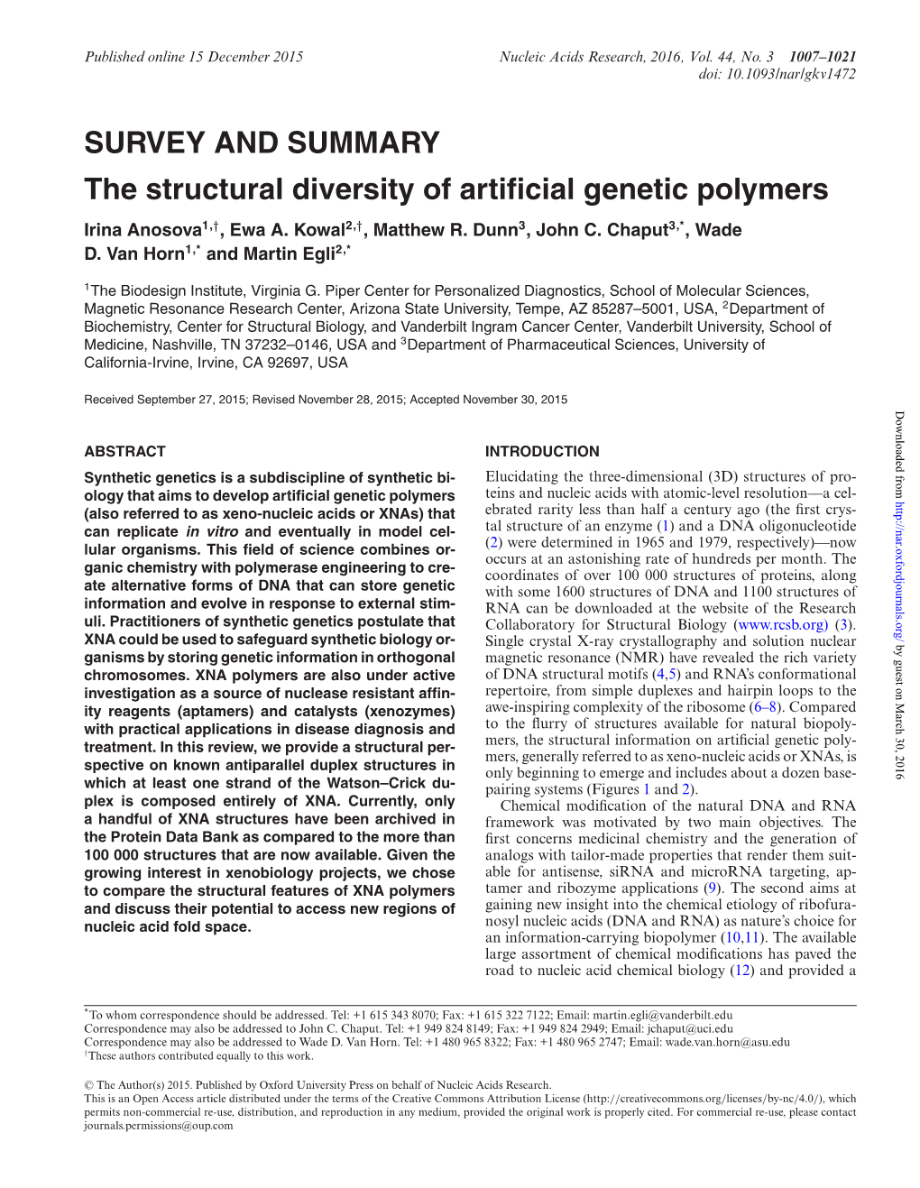 The Structural Diversity of Artificial Genetic Polymers