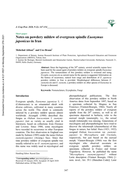 Notes on Powdery Mildew of Evergreen Spindle Euonymus Japonicus in Iran