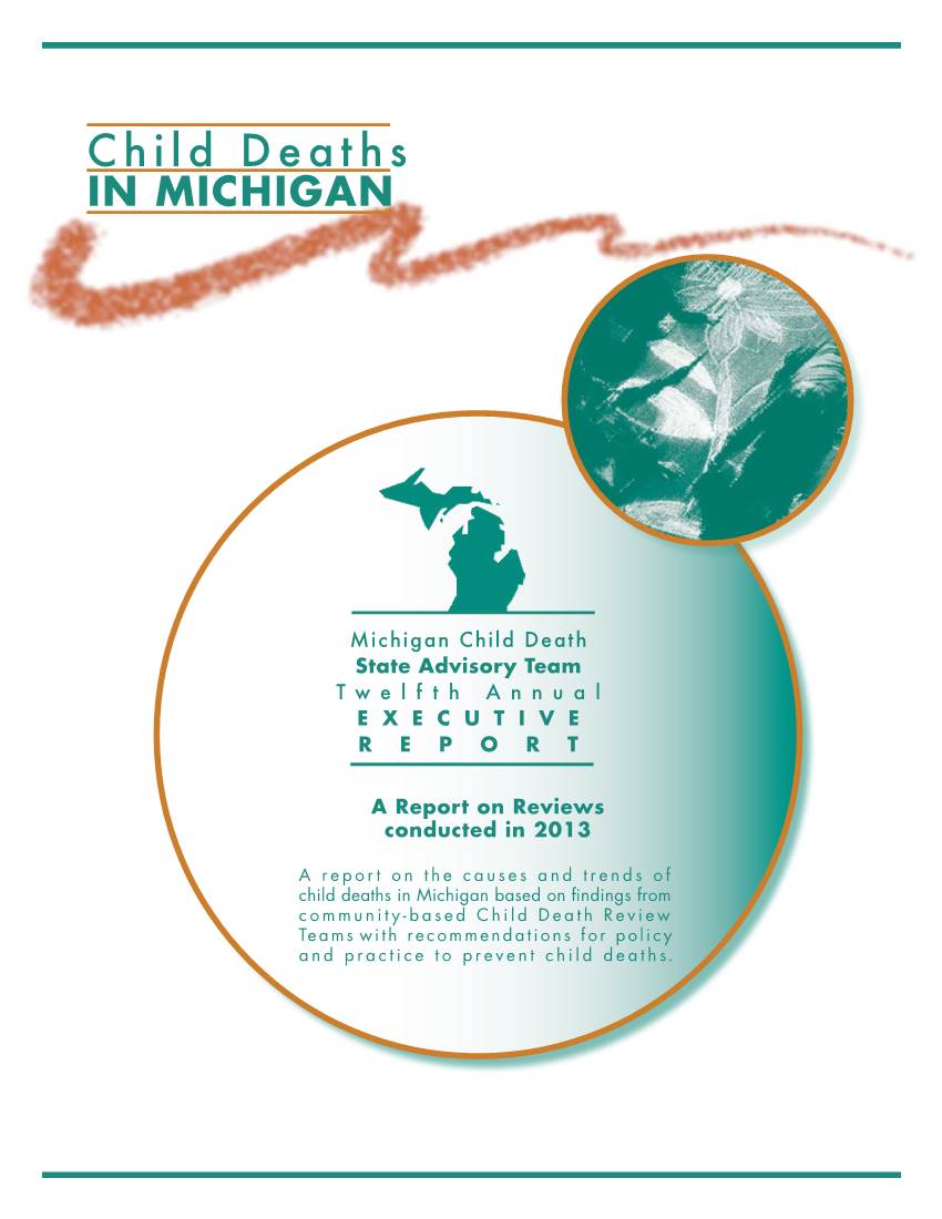 Michigan Child Death State Advisory Team 2013 Annual Report