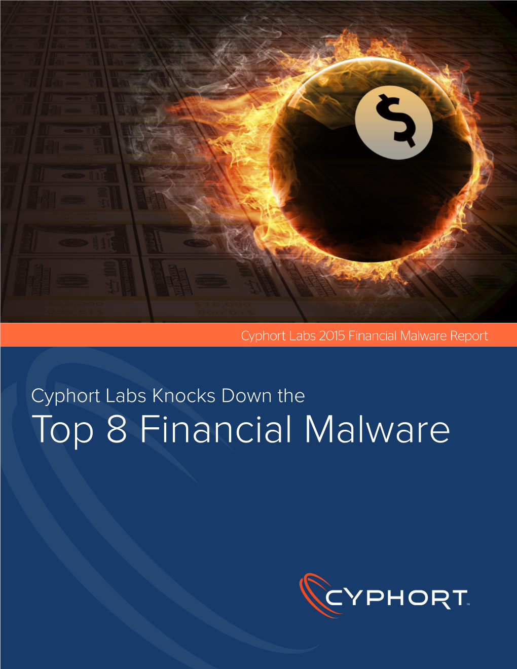 Top 8 Financial Malware
