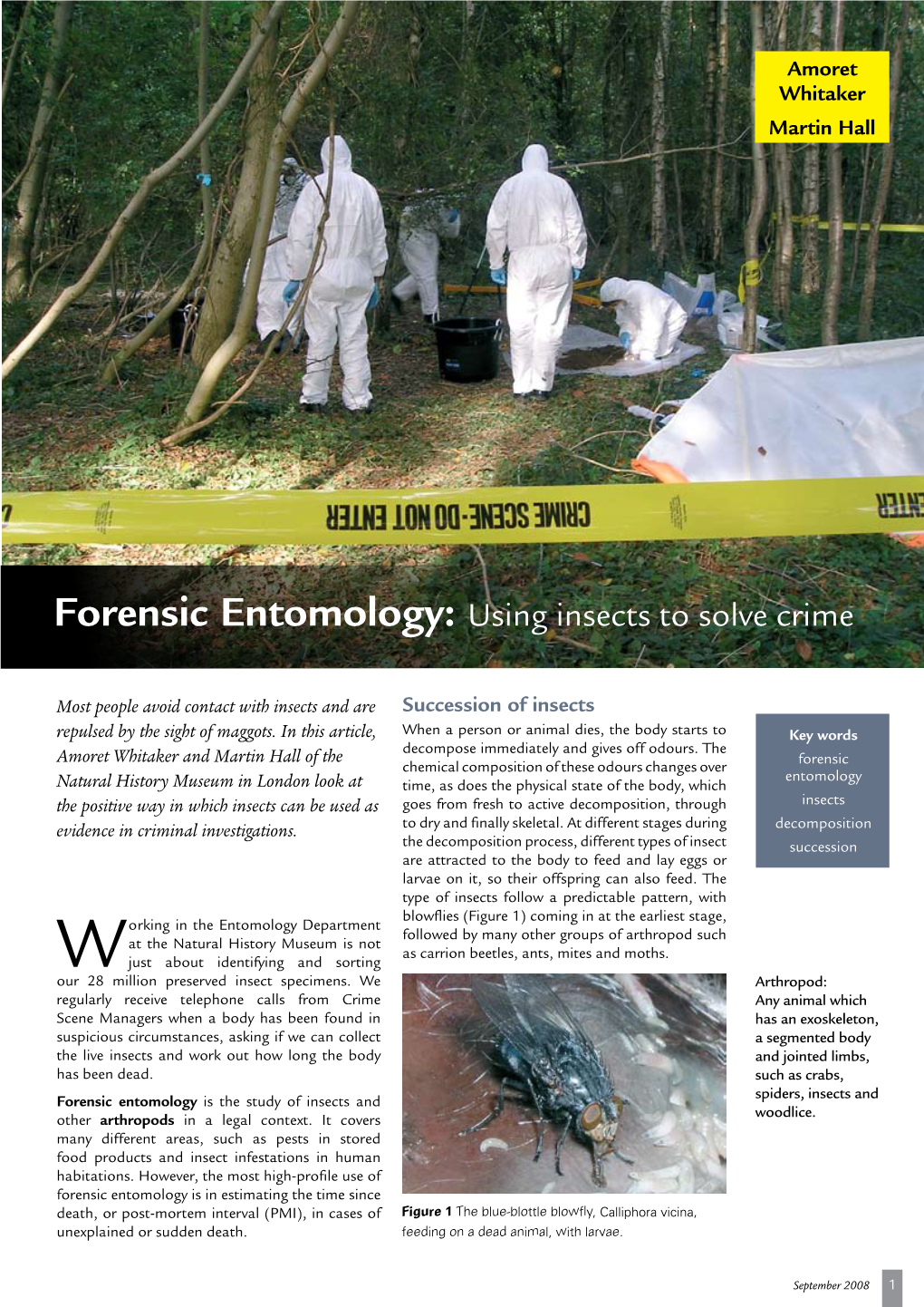 Forensic Entomology: Using Insects to Solve Crime