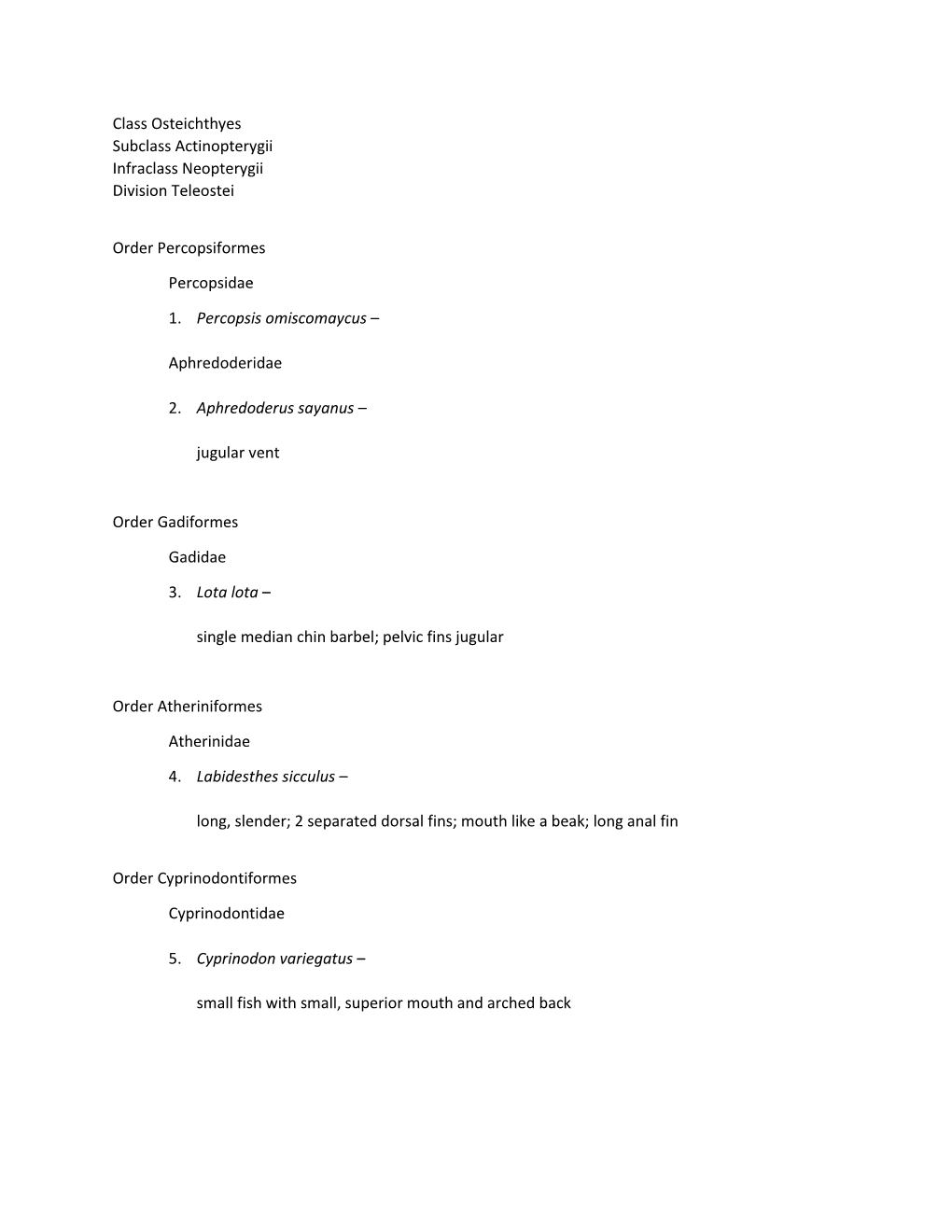 Class Osteichthyes Subclass Actinopterygii Infraclass Neopterygii Division Teleostei