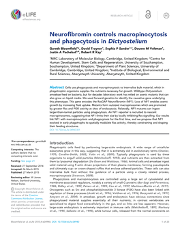 Neurofibromin Controls Macropinocytosis and Phagocytosis