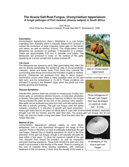 The Acacia Gall Rust Fungus, Uromycladium Tepperianum a Fungal Pathogen of Port Jackson ( Acacia Saligna ) in South Africa