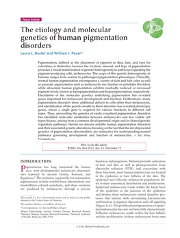 The Etiology and Molecular Genetics of Human Pigmentation Disorders