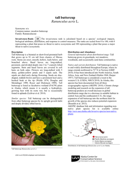 Tall Buttercup Ranunculus Acris L