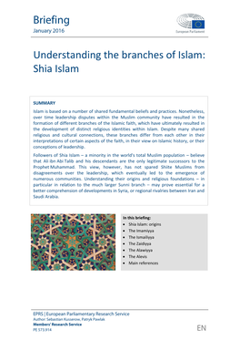 Understanding the Branches of Islam: Shia Islam