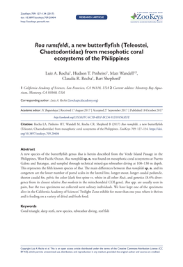 ﻿﻿﻿﻿Roa Rumsfeldi﻿﻿, a New Butterflyfish (Teleostei, Chaetodontidae) From