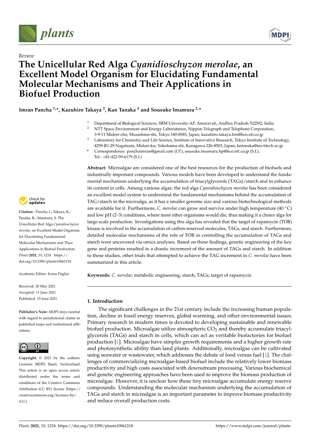 The Unicellular Red Alga Cyanidioschyzon Merolae, an Excellent Model Organism for Elucidating Fundamental Molecular Mechanisms A