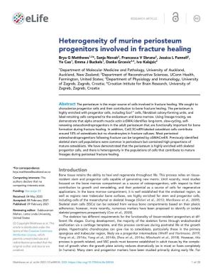 Heterogeneity of Murine Periosteum Progenitors Involved in Fracture Healing