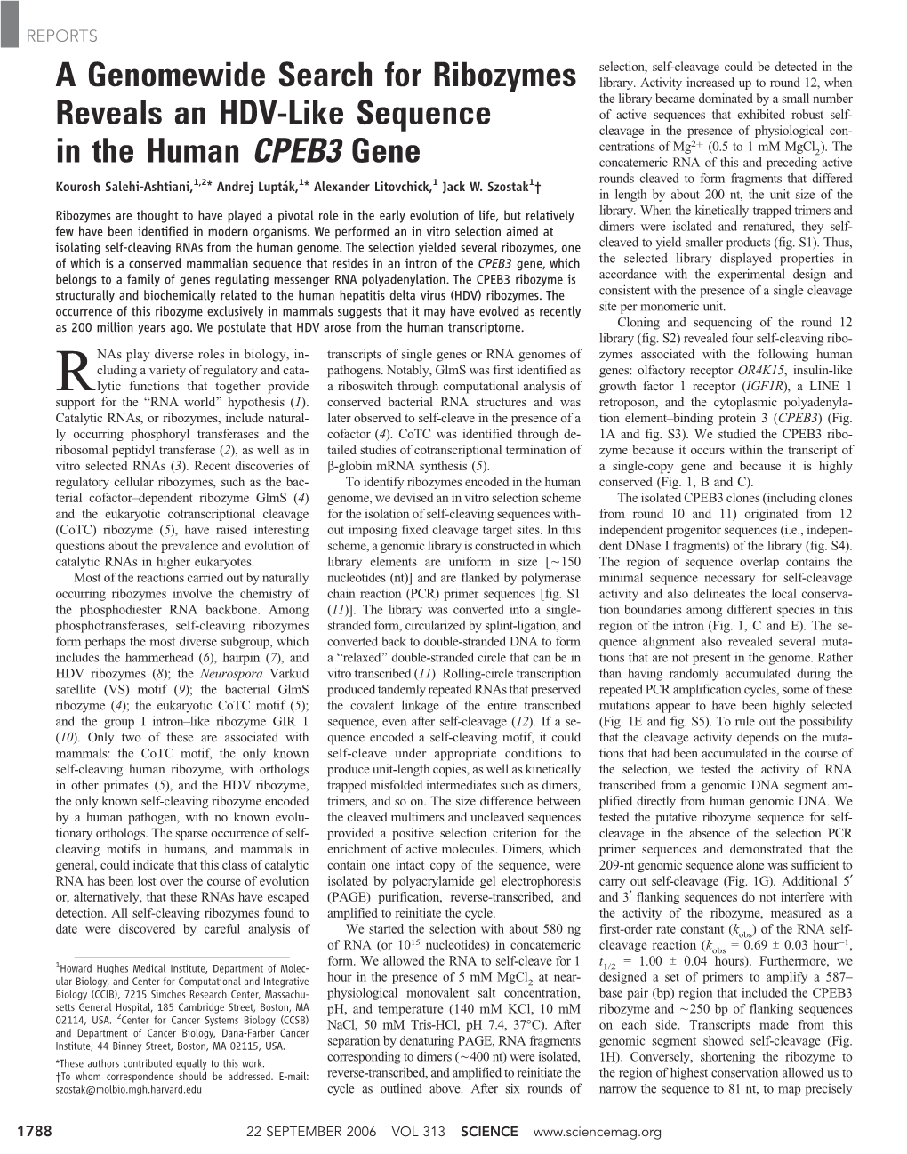 A Genomewide Search for Ribozymes Reveals an HDV-Like Sequence In