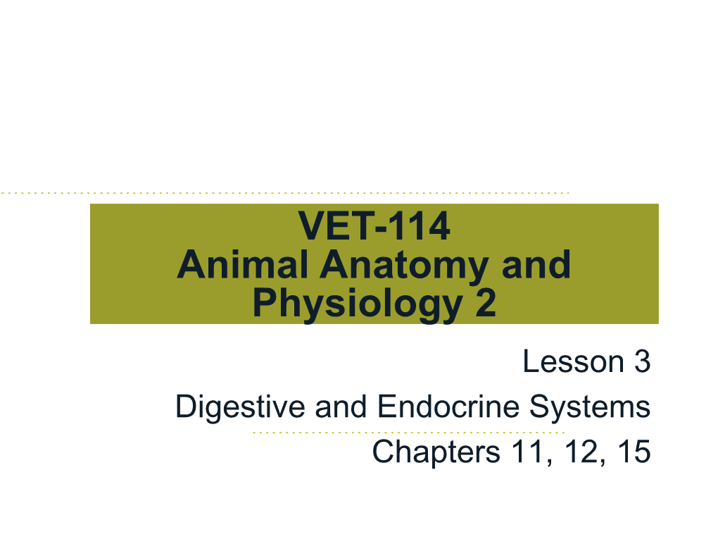 The Digestive System (Gastrointestinal Tract) (Alimentary