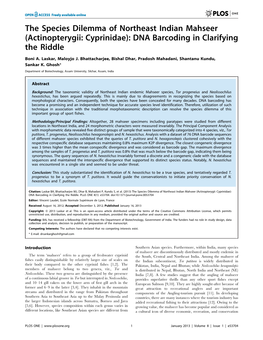 (Actinopterygii: Cyprinidae): DNA Barcoding in Clarifying the Riddle