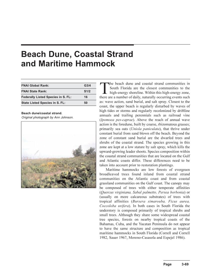 Beach Dune, Coastal Strand and Maritime Hammock