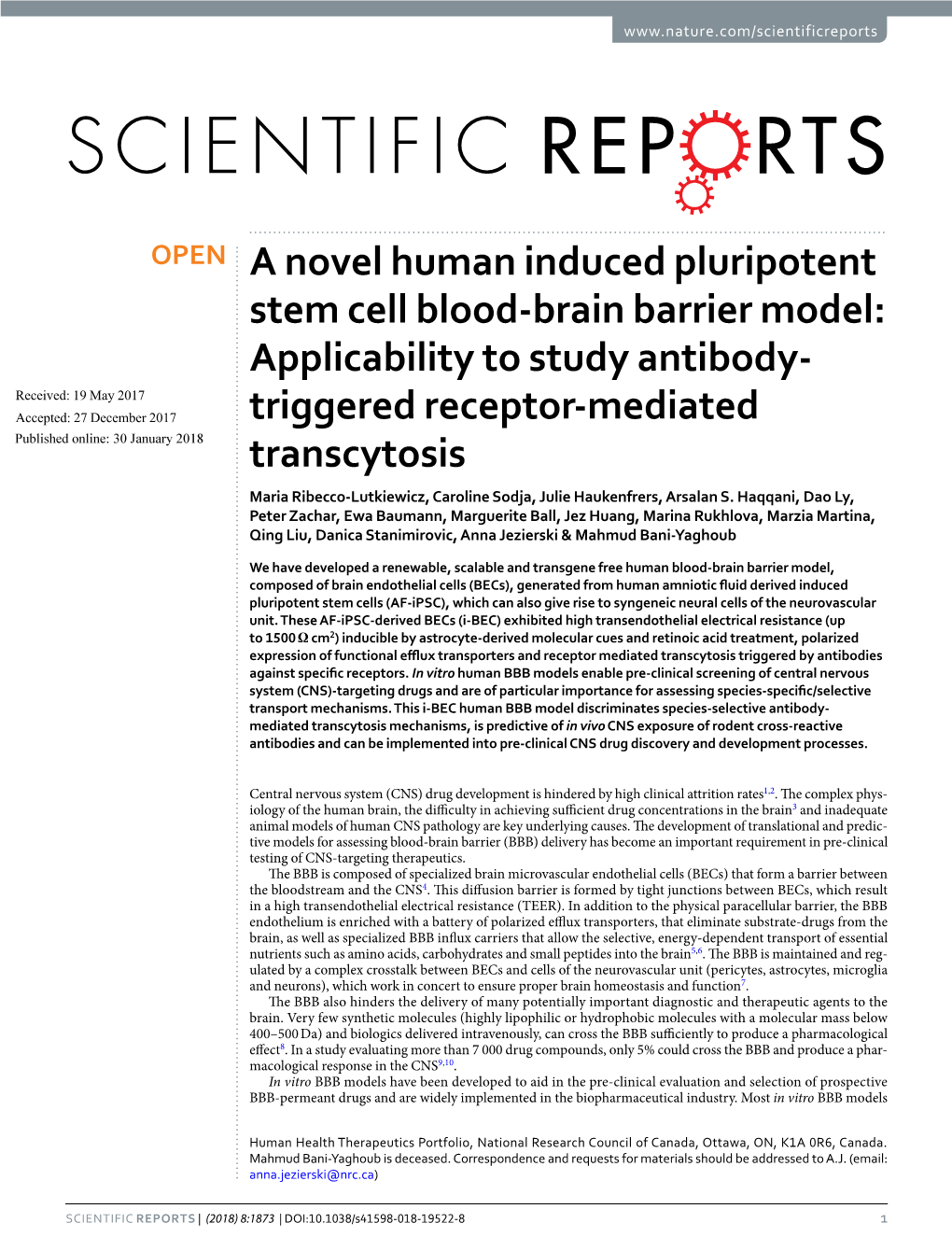 A Novel Human Induced Pluripotent Stem Cell Blood-Brain