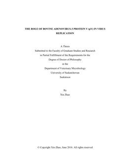 THE ROLE of BOVINE ADENOVIRUS-3 PROTEIN V (Pv) in VIRUS REPLICATION