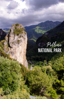 Check out Our Pollino National Park Brochure