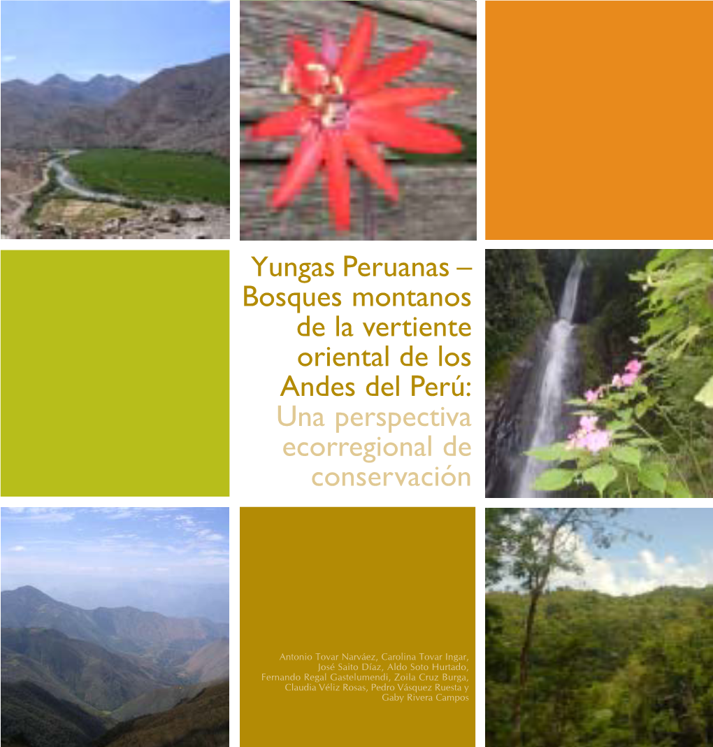 Yungas Peruanas – Bosques Montanos De La Vertiente Oriental De Los Andes Del Perú: Una Perspectiva Ecorregional De Conservación