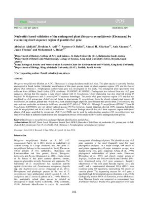 (Ebenaceae) by Evaluating Short Sequence Region of Plastid Rbcl Gene