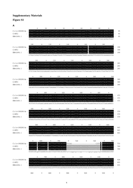 Ciclev10020814m : Cromt2 HM641694.1