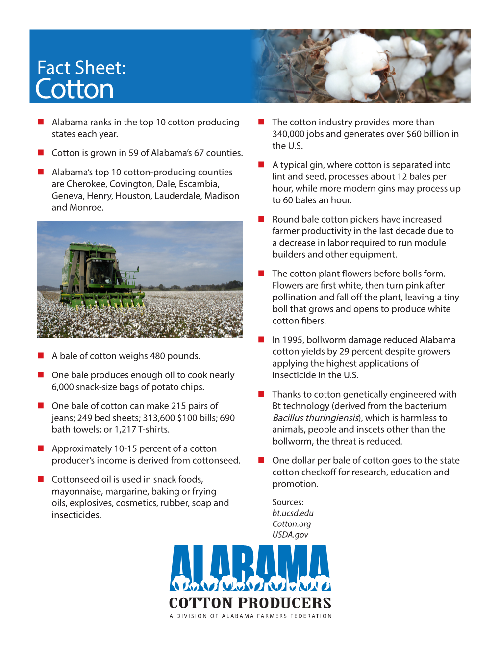 Cotton N Alabama Ranks in the Top 10 Cotton Producing N the Cotton Industry Provides More Than States Each Year