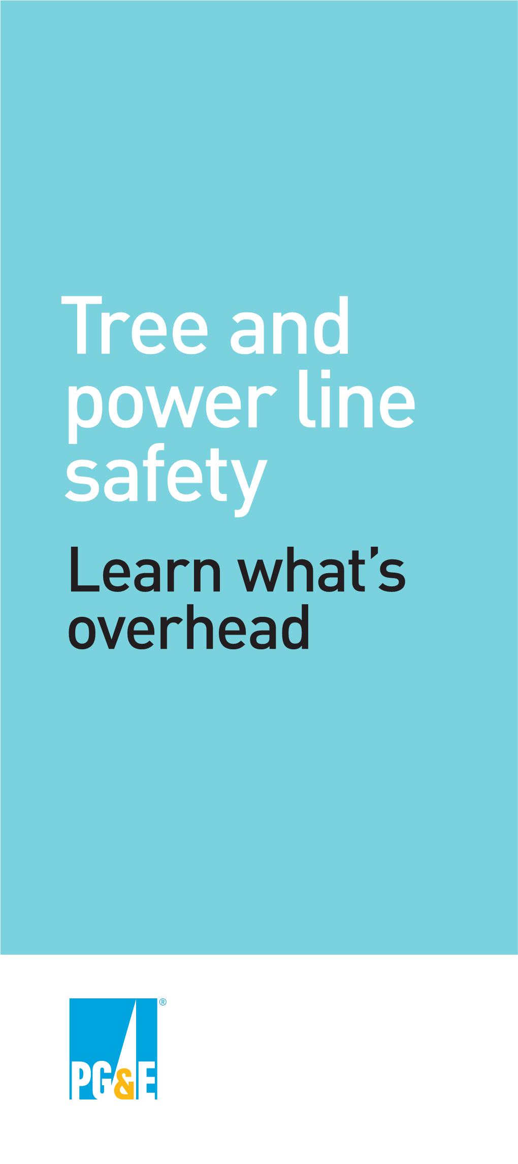 Tree and Power Line Safety – Learn What's Overhead