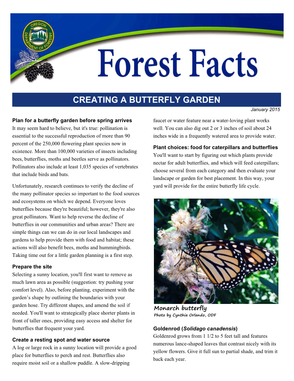 CREATING a BUTTERFLY GARDEN January 2015