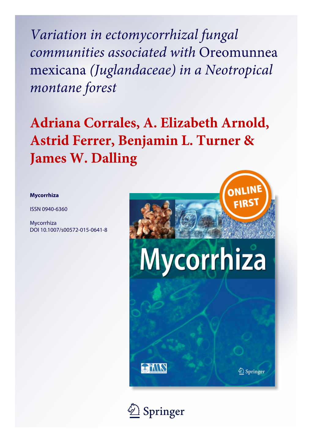 Variation in Ectomycorrhizal Fungal Communities Associated with Oreomunnea Mexicana (Juglandaceae) in a Neotropical Montane Forest